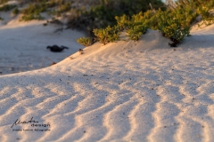 Morgensonne und Kalksand